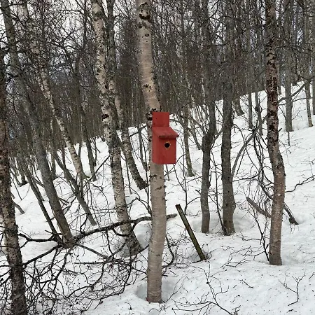 בית נופש Modernized Standalone Sorreisa - ברדופוס