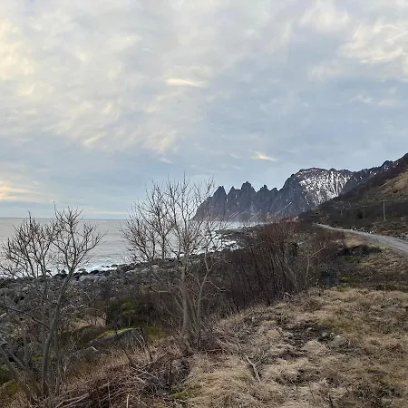 Modernized Standalone Sorreisa - * バルドゥフォス