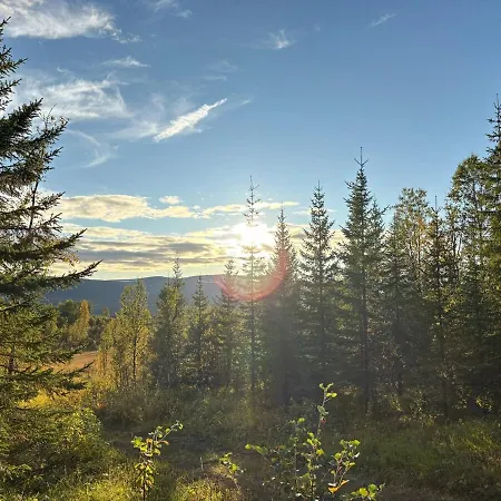 Modernized Standalone Sorreisa - * ברדופוס