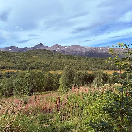 Modernized Standalone Sorreisa - 別荘