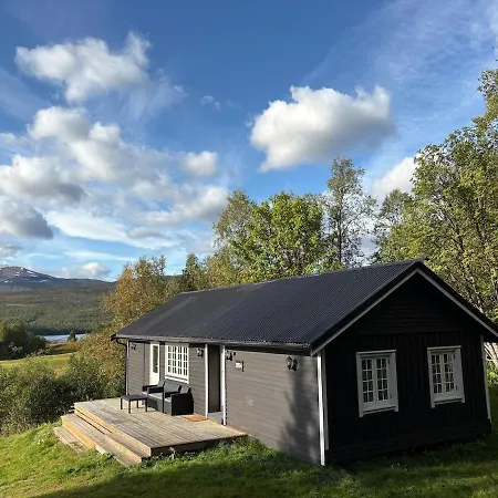 Modernized Standalone Sorreisa - *