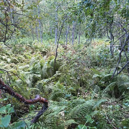 Modernized Standalone Sørreisa - Bardufoss